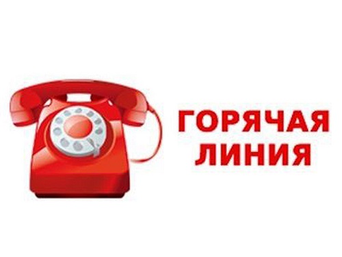 Татарстан организовал работу нескольких «горячих линий»